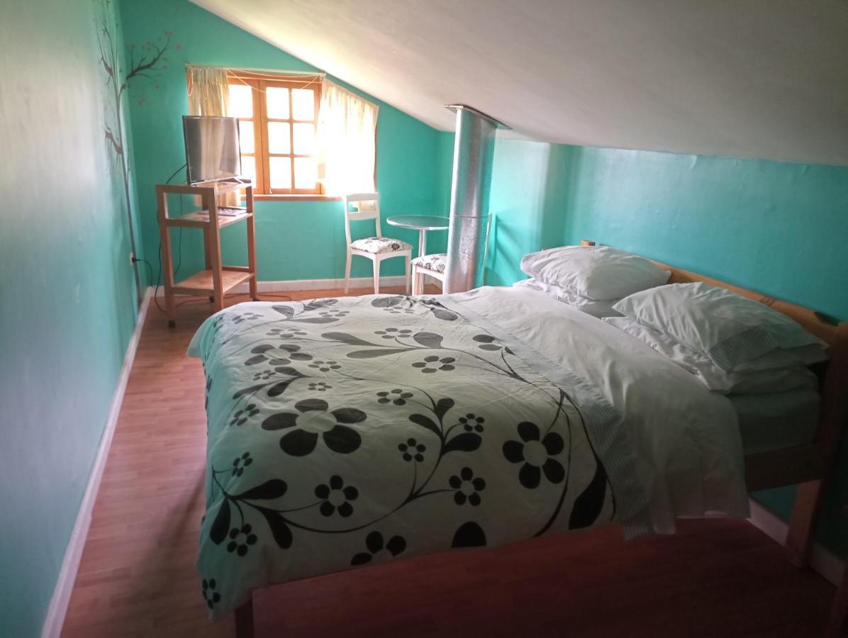 Omi Kika B&B Villarrica Exterior photo