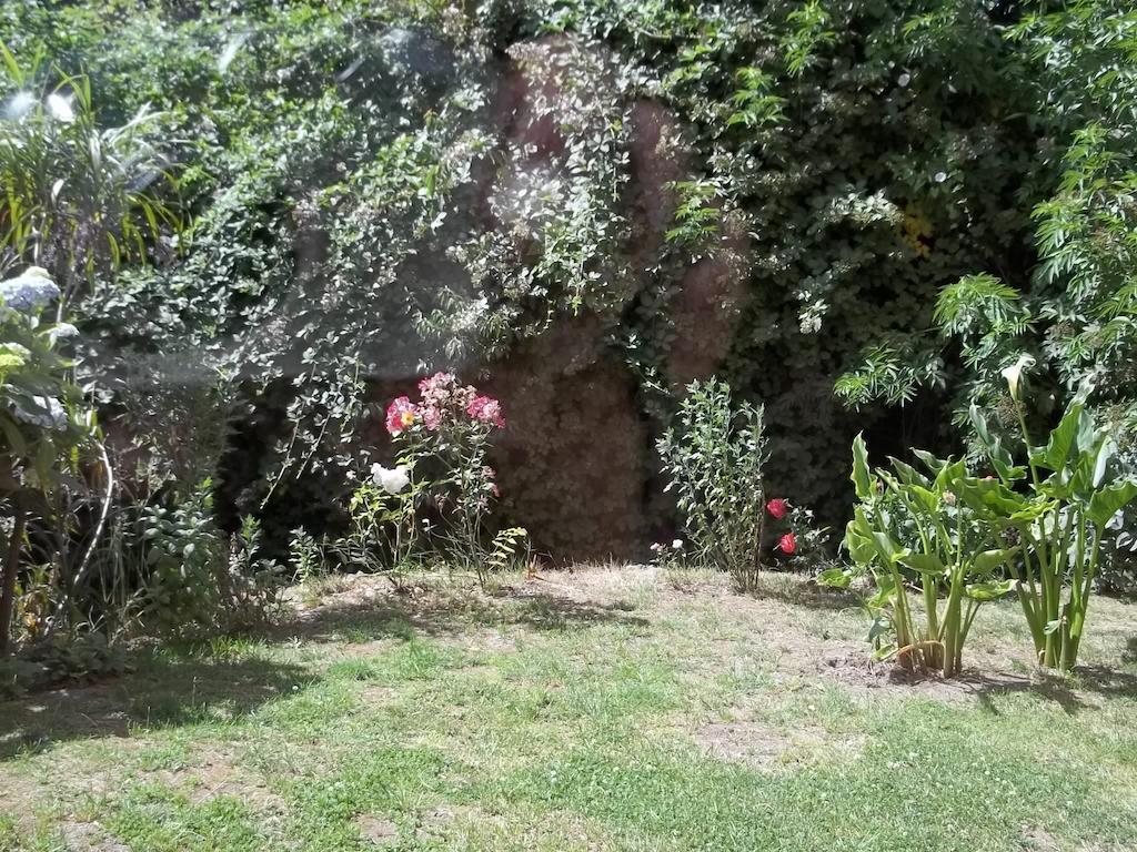 Omi Kika B&B Villarrica Room photo