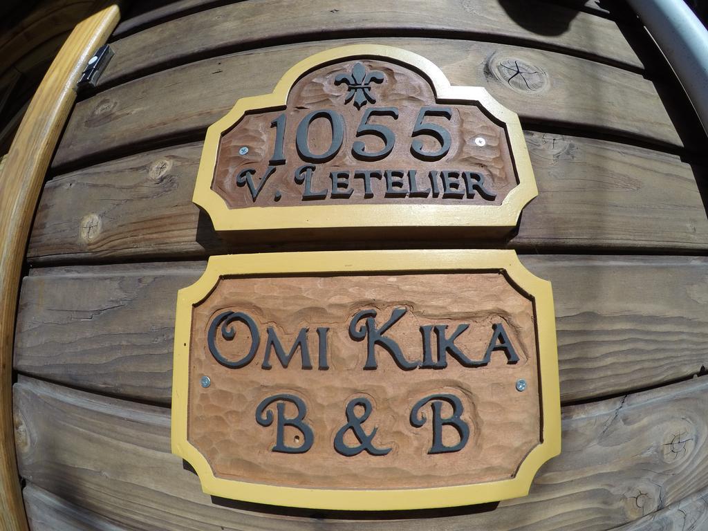 Omi Kika B&B Villarrica Exterior photo