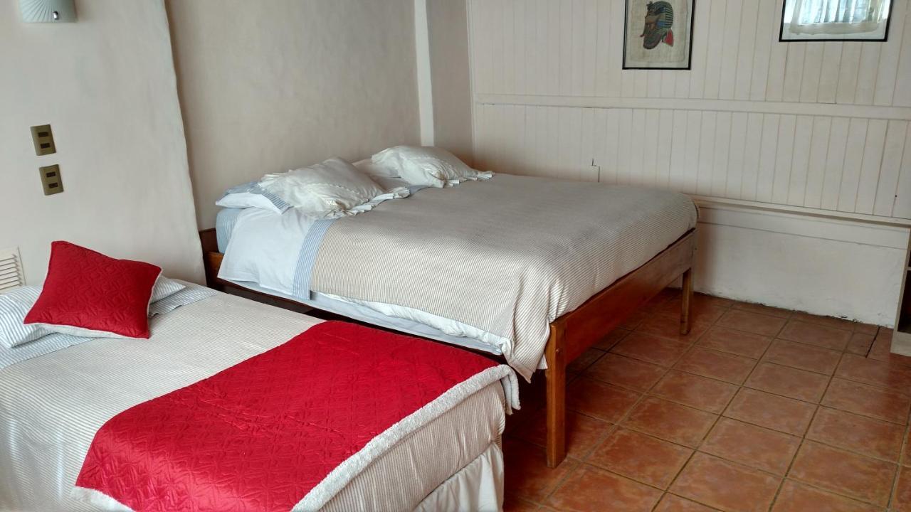 Omi Kika B&B Villarrica Exterior photo